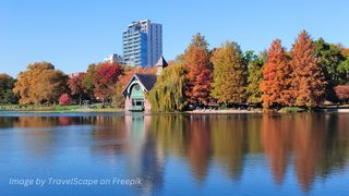 Eco-Friendly Spring Changes